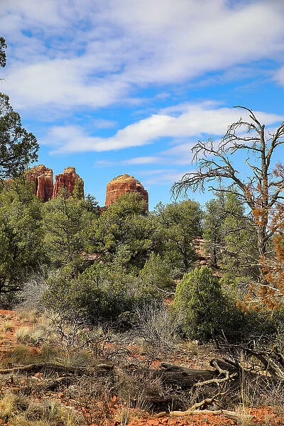 Sedona, Arizona, USA. Cathedral Rock, red rock formations