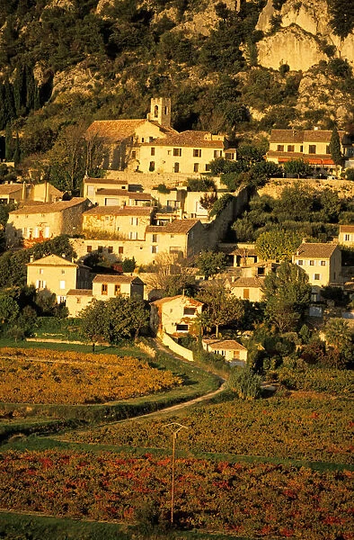 Seguret, Vaulcuse, Provence, France, vineyards in autumn
