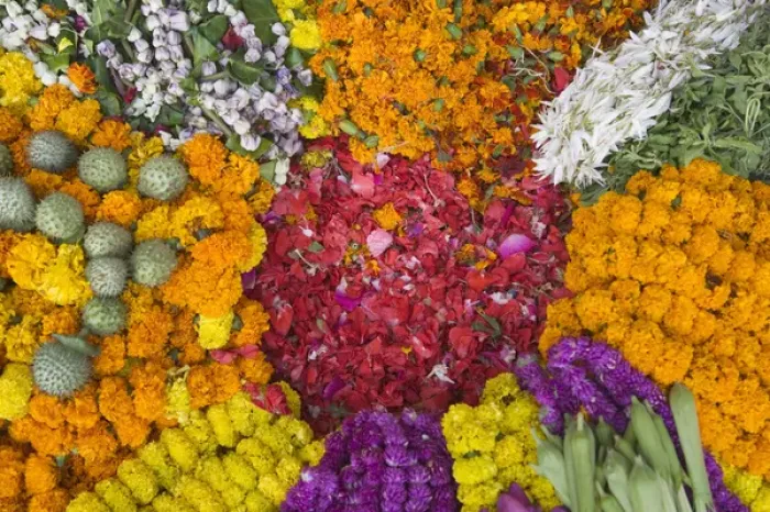 Framed Print : Selling flowers for Diwali, Festival of Lights, Varanasi, India Framed Print : Selling flowers for Diwali, Festival of Lights, Varanasi, India