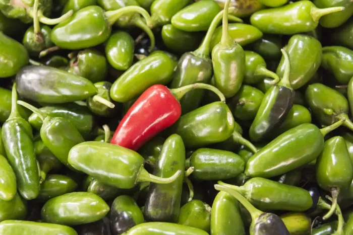 Framed Print : Selling peppers at the market, Kathmandu, Nepal
