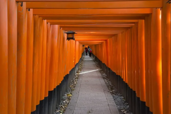 Framed Print : Senbon Torii (thousands of Torii gates) in Fushimi Inari Shrine, Kyoto, Japan