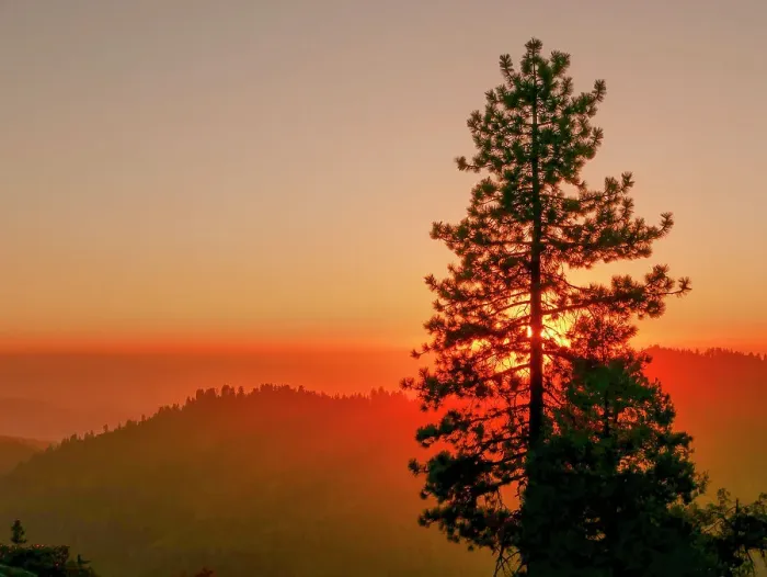 Framed Print : Sequoia National Park, California Framed Print : Sequoia National Park, California