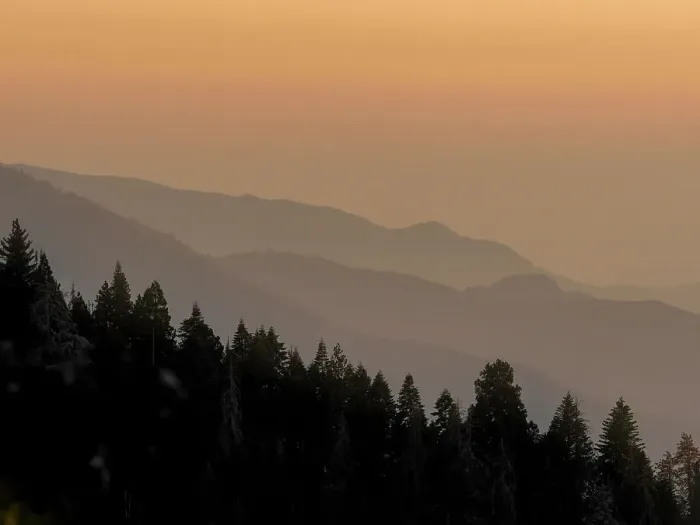 Framed Print : Sequoia National Park, California Framed Print : Sequoia National Park, California
