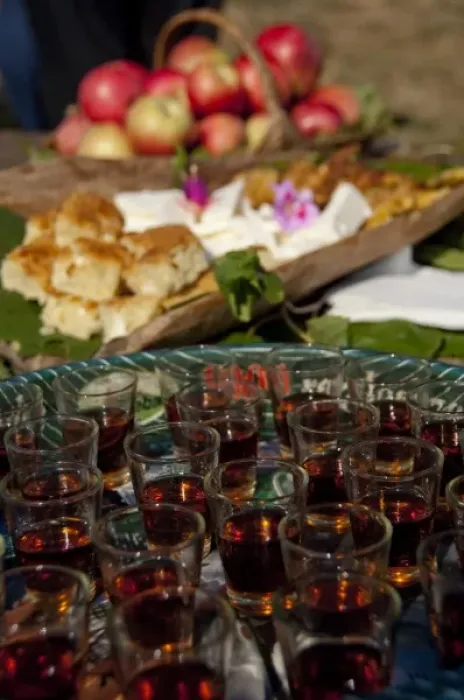 Framed Print : Serbia, Donji Milanovac. Traditional Serbian snack of plum brandy (aka honey brandy or Rakija)