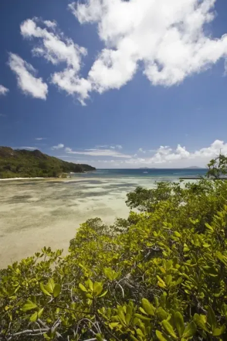 Framed Print : Seychelles, Curieuse Island, Laraie Bay