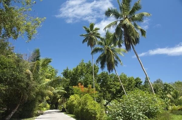 Seychelles, Island of La Digue. Typical remote island road