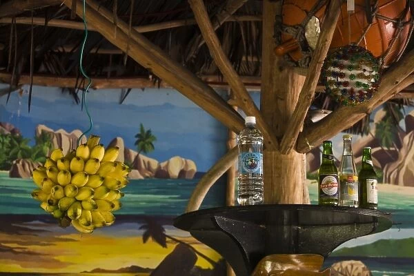 Seychelles, La Digue Island, Grand Anse, hanging bananas at Loutier Coco beach cafe