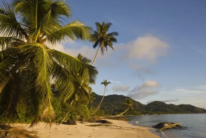 Framed Print : Seychelles, Mahe Island, palms, Fairyland Beach, dawn Framed Print : Seychelles, Mahe Island, palms, Fairyland Beach, dawn