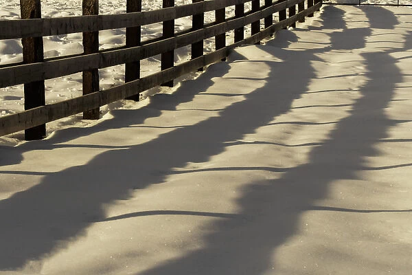 Shadow pattern of fence on snow in early morning, Kalispell, Montana