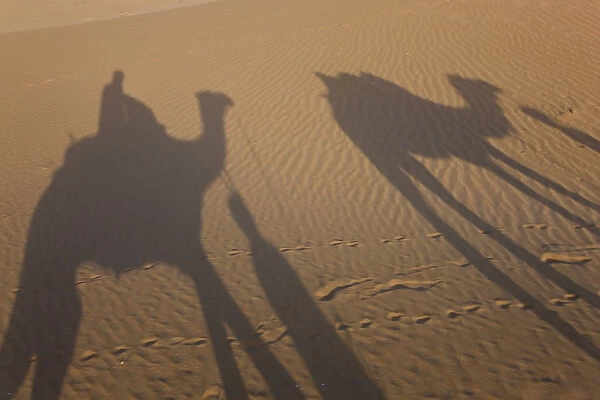 Shadows of a camel train, Thar Desert, Rajasthan, India