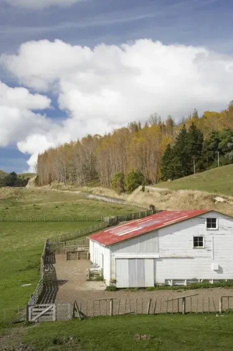 Framed Print : Shearing Shed near Mataroa, Rangitikei District Central North Island, New Zealand