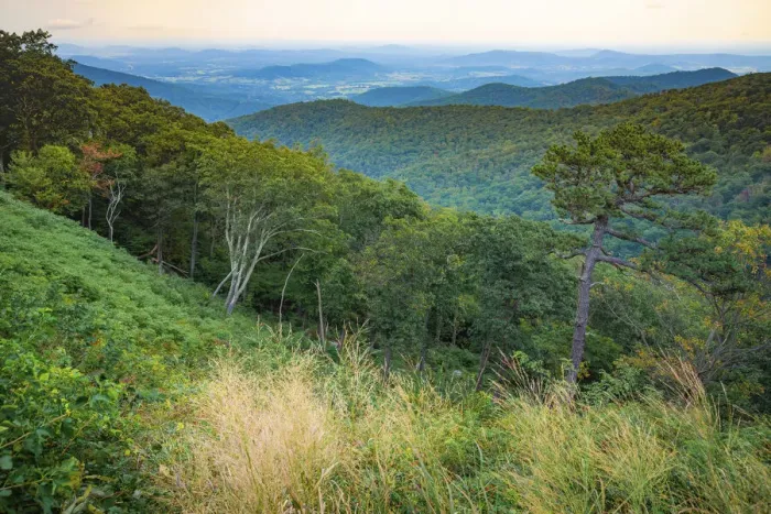 Framed Print : Shenandoah vista, Blue Ridge Parkway, Smoky Mountains, USA Framed Print : Shenandoah vista, Blue Ridge Parkway, Smoky Mountains, USA
