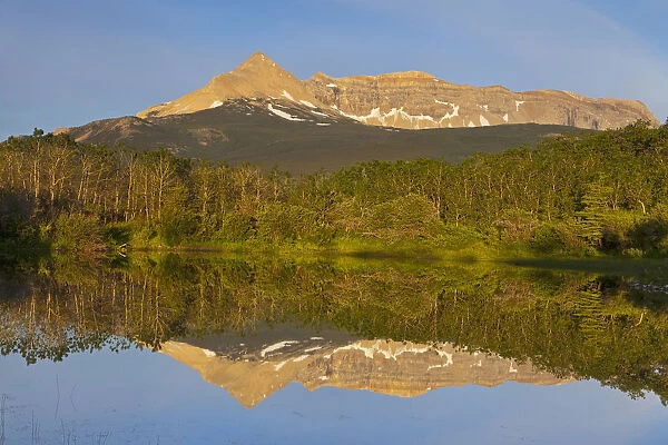 Sherburne Peak and Yellow Mountain reflect into aspen lined pond on the Blackfeet