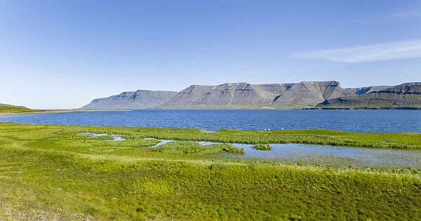 Shore of fjord Dyrafjordur near Haukadalur on the Thingeyri peninsula, northwest Iceland