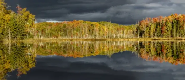 Framed Print : Shoreline of Red Jack Lake at sunrise, Hiawatha National Forest, Upper Peninsula