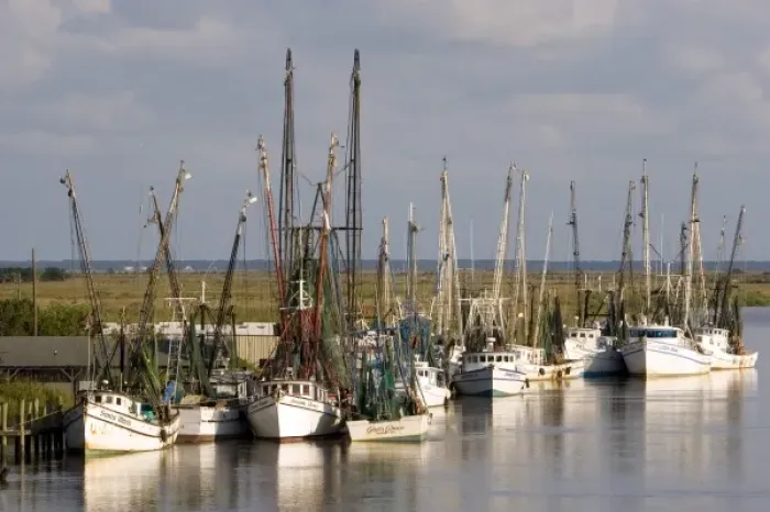 Framed Print : Shrimp boats docked at Darien, Georgia Framed Print : Shrimp boats docked at Darien, Georgia