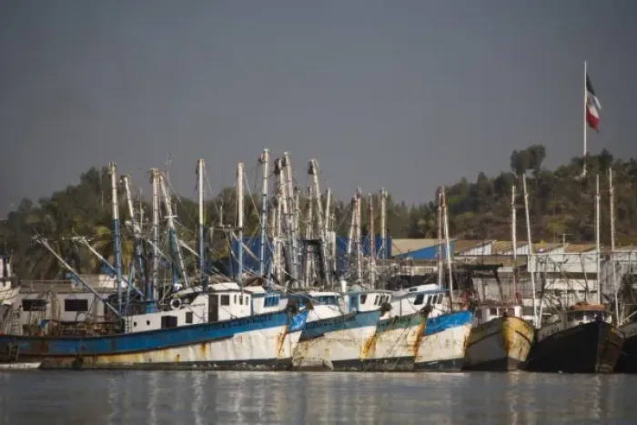 Framed Print : Shrimp Boats, largest fleet in Mazatlan, Sinaloa State, Mexico Framed Print : Shrimp Boats, largest fleet in Mazatlan, Sinaloa State, Mexico