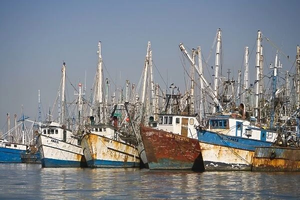 Shrimp Boats, largest fleet in Mazatlan, Sinaloa State, Mexico