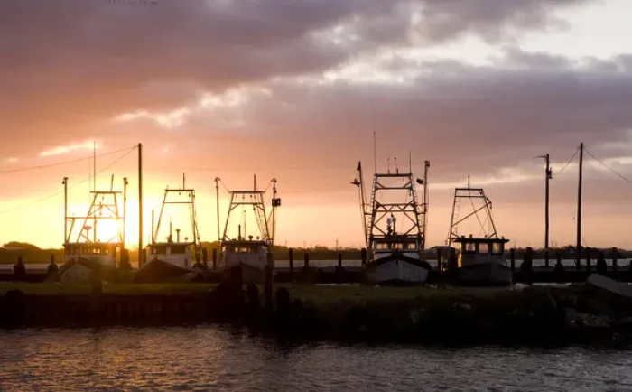 Framed Print : Shrimp boats at sunrise, Seadrift, Tx Framed Print : Shrimp boats at sunrise, Seadrift, Tx