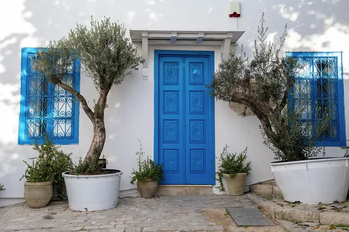 Framed Print : Sidi Bou Said, Tunisia, Africa. A picturesque doorway in town