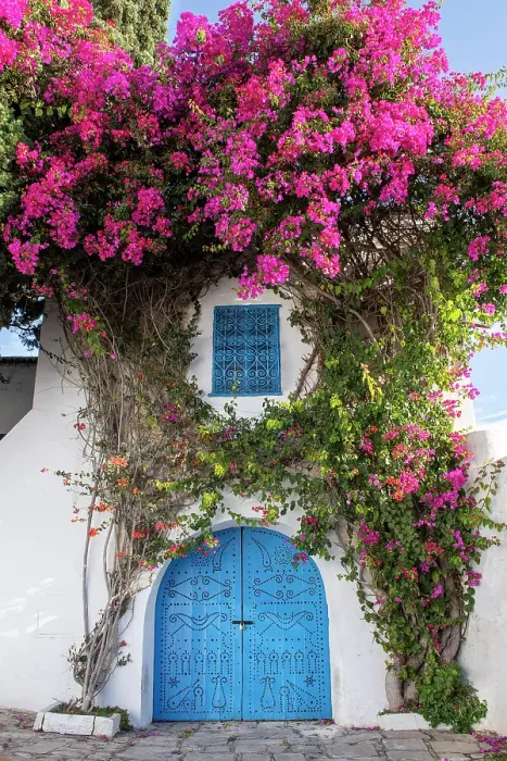 Framed Print : Sidi Bou Said, Tunisia, Africa. A picturesque doorway in town Framed Print : Sidi Bou Said, Tunisia, Africa. A picturesque doorway in town