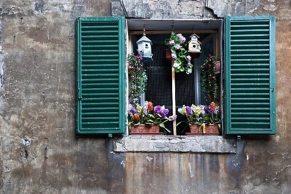 Sienna, Tuscany, Italy - View of a window with green shutters. It is decorated with flowers