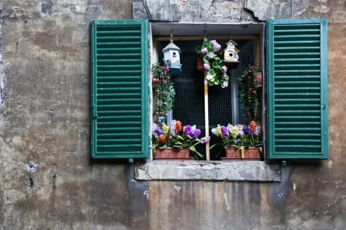 Framed Print : Sienna, Tuscany, Italy - View of a window with green shutters. It is decorated with flowers