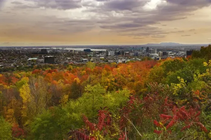 Framed Print : Sights of Montreal, scenic view Montreal from Mount Royal Park Framed Print : Sights of Montreal, scenic view Montreal from Mount Royal Park