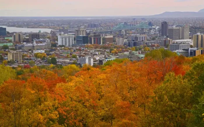 Framed Print : Sights of Montreal, scenic view Montreal from Mount Royal Park Framed Print : Sights of Montreal, scenic view Montreal from Mount Royal Park