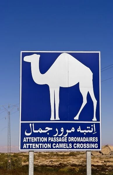 Sign for camel crossing in Sahara Desert near Tozeur Tunisia Africa