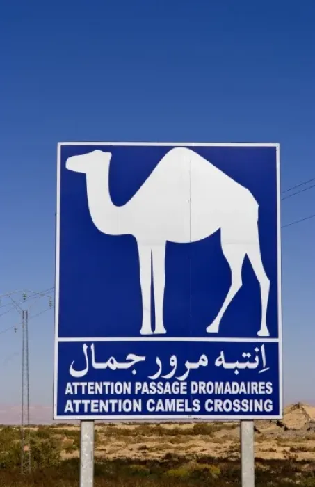 Framed Print : Sign for camel crossing in Sahara Desert near Tozeur Tunisia Africa Framed Print : Sign for camel crossing in Sahara Desert near Tozeur Tunisia Africa