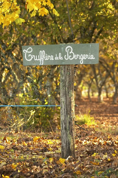 Sign at the entrance Truffiere de la Bergerie (Truffiere) truffles farm Ste Foy de