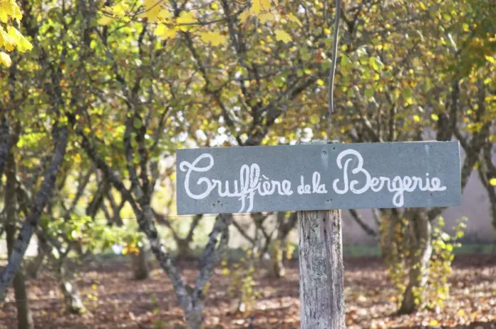 Framed Print : Sign at the entrance Truffiere de la Bergerie (Truffiere) truffles farm Ste Foy de