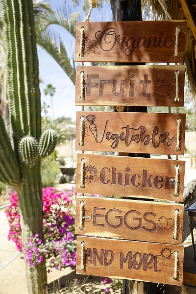 Sign for farm produce. Cabo San Lucas, Mexico