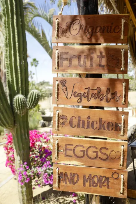 Framed Print : Sign for farm produce. Cabo San Lucas, Mexico Framed Print : Sign for farm produce. Cabo San Lucas, Mexico