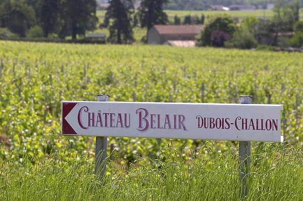 A sign pointing to Chateau Belair Cubois-Challon Chateau Belair (Bel Air) 1st