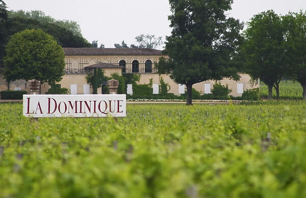 A sign in the vineyard saying Chateau La Dominique, and a unknown winery in the background