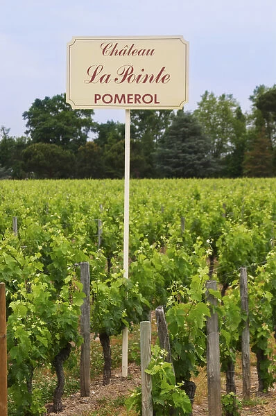A sign in the vineyards saying Chateau La Pointe Pomerol Bordeaux Gironde Aquitaine