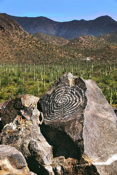 Signal Hill Petroglyphs, Arizona, USA