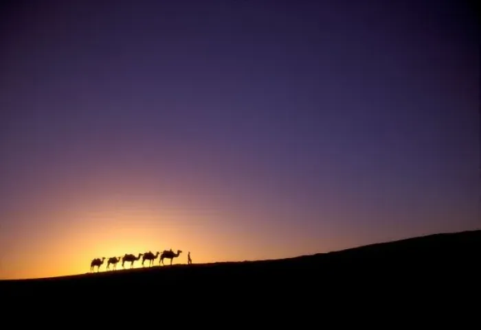 Framed Print : Silhouette of camel caravan on the desert at dawn, Dunhuang, Gansu Province, Silk Road Framed Print : Silhouette of camel caravan on the desert at dawn, Dunhuang, Gansu Province, Silk Road
