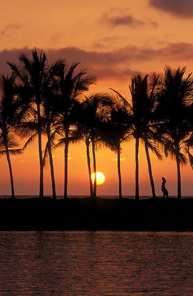 Silhouetted palm trees and woman at sunset, Kohala Coast, The Big Island, Hawaii (MR)