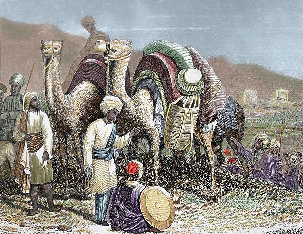 Silk Road. Caravan of camels resting. Antioch. Nineteenth-century colored engraving