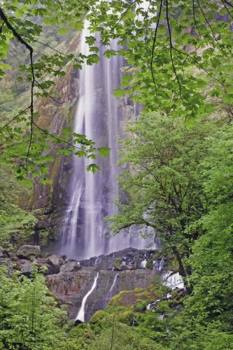 Framed Print : Silver Falls, Golden and Silver Falls State Natural Area, Oregon