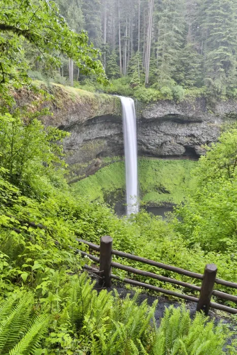 Framed Print : Silver Falls State Park, Oregon. South Falls and trail leading to it Framed Print : Silver Falls State Park, Oregon. South Falls and trail leading to it