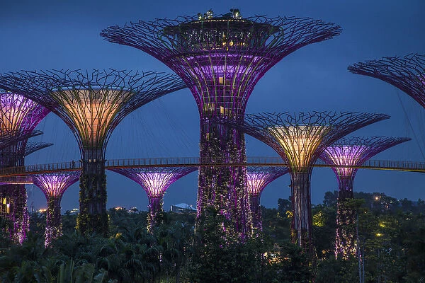 Singapore. Garden by the Sea towers at night