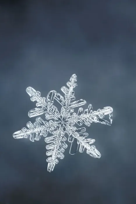 Framed Print : Single snowflake Framed Print : Single snowflake