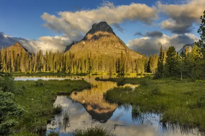 Framed Print : Sinopah Mountain reflects in beaver pond in Two Medicine Valley in Glacier National Park Framed Print : Sinopah Mountain reflects in beaver pond in Two Medicine Valley in Glacier National Park