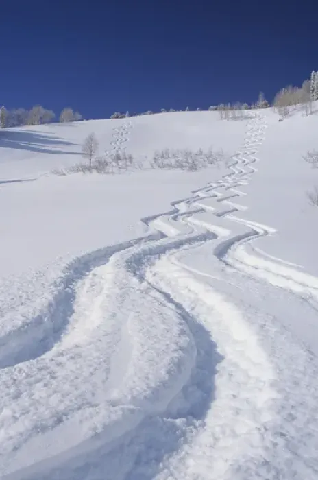 Framed Print : Ski Tracks in Silver Fork, Big Cottonwood, Uinta Wasatch Cache National Forest, Utah
