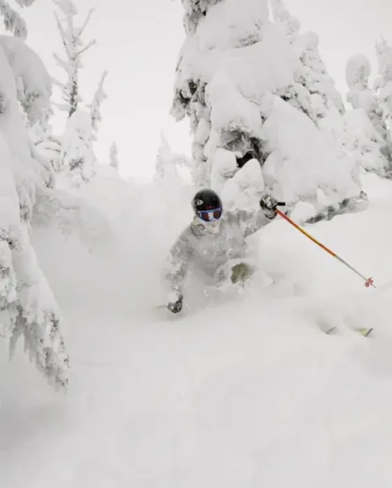 Framed Print : Skiing deep powder at Whitefish Mountain Resort in Montana. (MR) Framed Print : Skiing deep powder at Whitefish Mountain Resort in Montana. (MR)