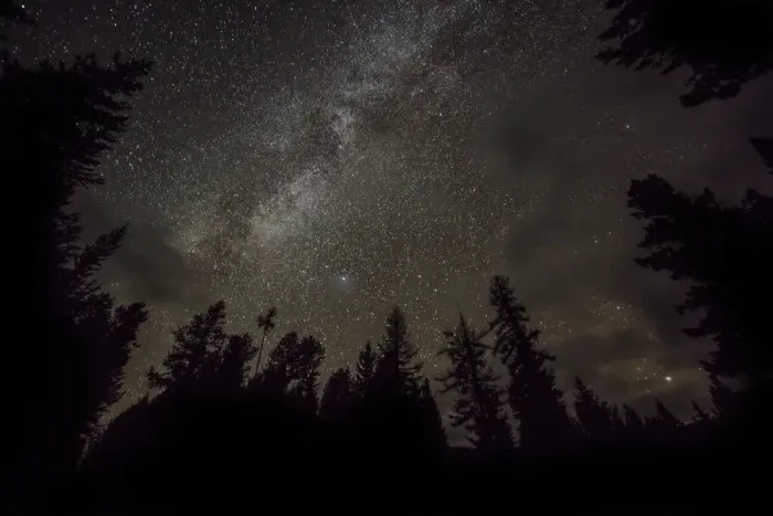 Framed Print : A sky full of stars in the forest in Glacier National Park, Montana, USA Framed Print : A sky full of stars in the forest in Glacier National Park, Montana, USA